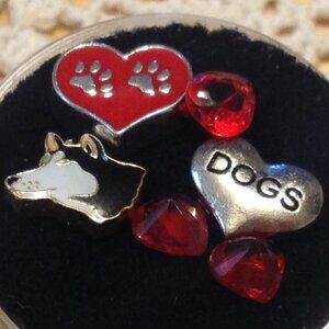 Husky Floating Jewelry Charms, miniatures for floating jewelry lockets